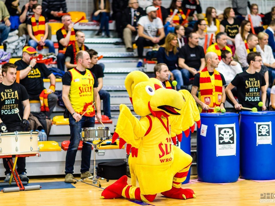 2019-04-14 1KS Ślęza Wrocław vs PSI Enea Gorzów Wlkp.