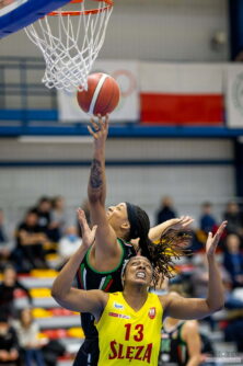 2022-02-13 1KS Ślęza Wrocław vs CTL Zagłębie Sosnowiec