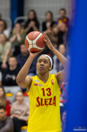 2022-03-19 1KS Ślęza Wrocław vs PolskaStrefaInwestycji Enea Gorzów Wlkp