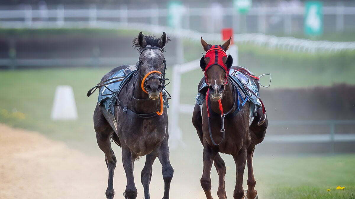 2022-05-03 Inauguracja sezonu wyścigów konnych 2022 na Partynicach
